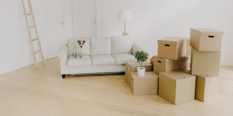 Post-Move Cleaning in the Triad, North Carolina