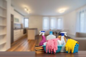 4 Things You Should Know About Professional House Cleaning Services
